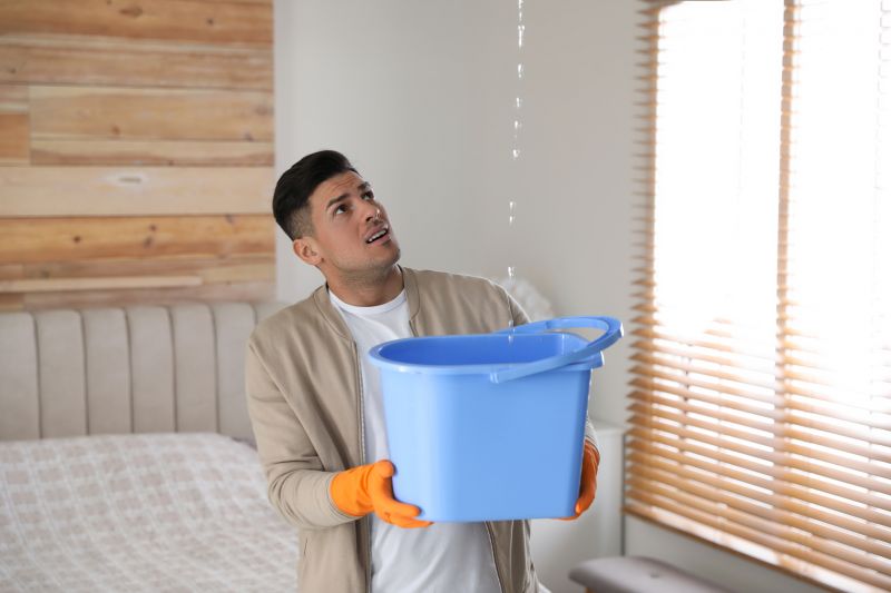 Plumbing Leak Repair in Denver, CO