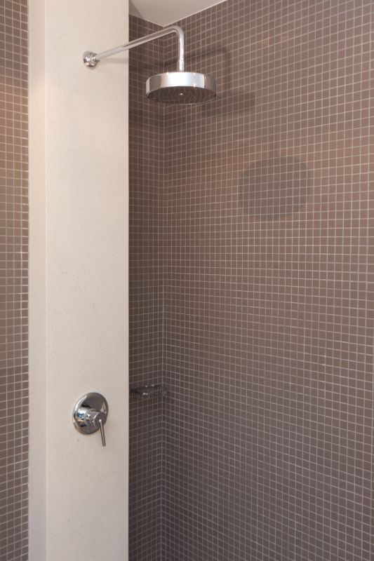 Shower Head Installation in Denver, CO