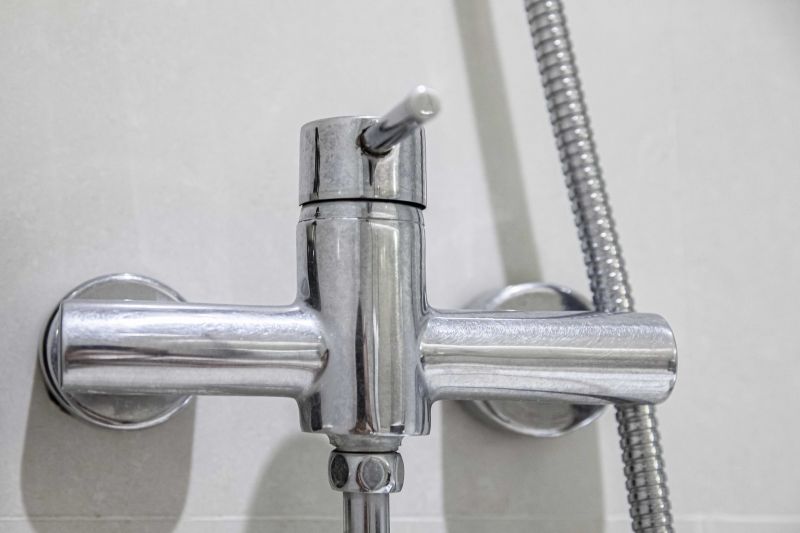 Showerhead Repair in Denver, CO