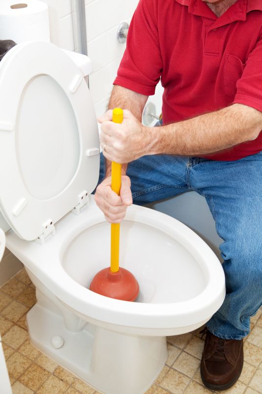 Toilet Plunging in Denver, CO