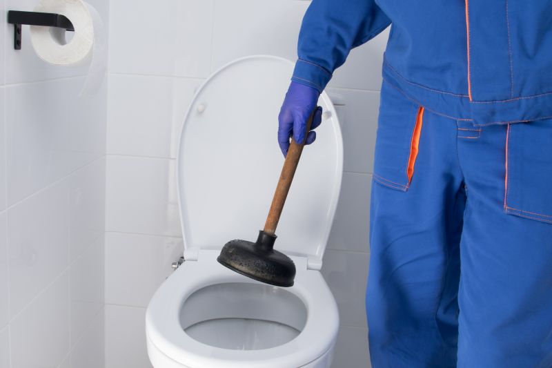 Toilet Plunging in Denver, CO