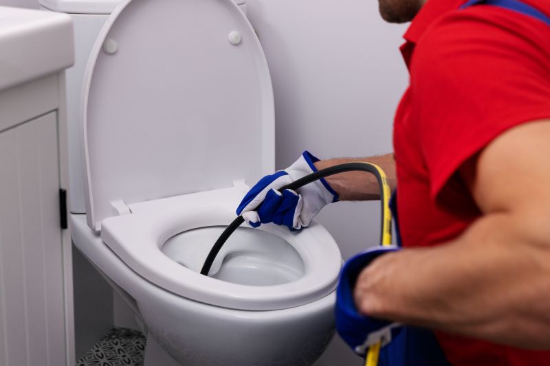 Toilet Service in Denver, CO